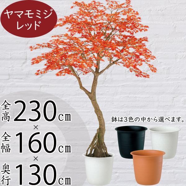 光触媒　人工観葉植物　フェイクグリーン　ヤマモミジ GREEN コアッド230 Amazon｜MOSADE 高木 プレミアム 光触媒 フェイクグリーン ※鉢は