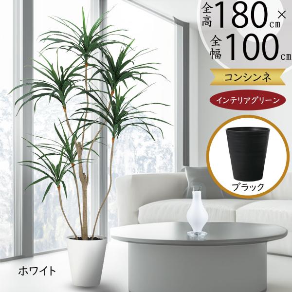光触媒　人工観葉植物　ウォールグリーン　フェイクグリーン　東北コンシンネ180 人工観葉植物 ウォールグリーン フェイクグリーン ドラセナ