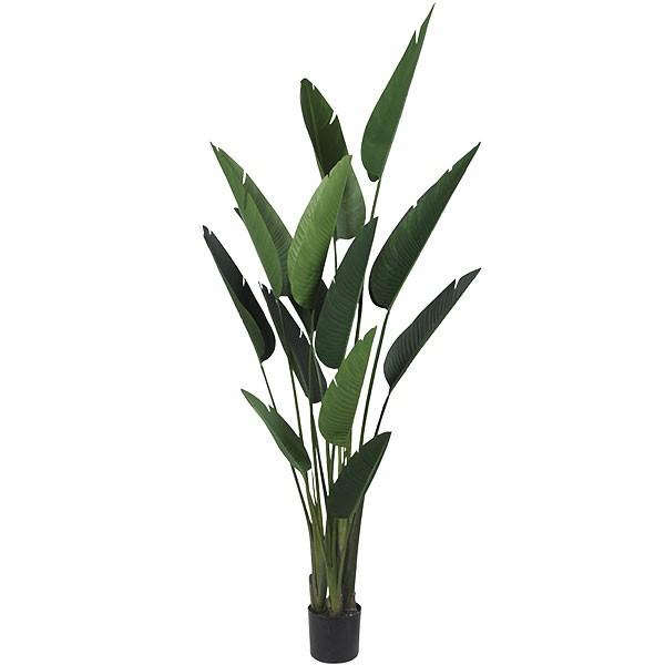 売り尽 人工観葉植物 全高1 2mストレリチア オーガスタ トラベラーズパーム パームツリー 人工樹木 造花 花材 リーフ インテリアグリーン フェイクグリーン トロピカルグリーン オブジェ ディスプレイ ディスプレー 装飾 送料無料