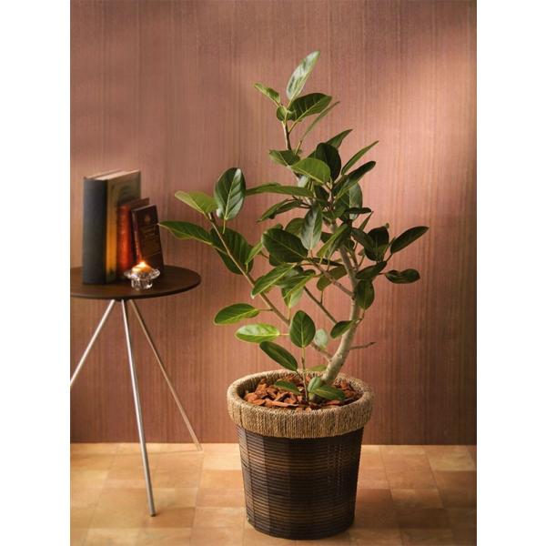 好評 鉢カバー バスケット ブラウン 8号用 全高31 5cm 直径34 5cm 底穴なし 籠 カゴ かご 植木鉢 プランター ポット 花器 容器 観葉植物用 Buyee Buyee Japanese Proxy Service Buy From Japan Bot Online