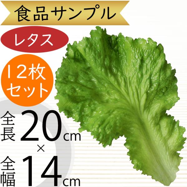 食品サンプル レタス レタスの葉 リアル フェイクフード 軟質 野菜