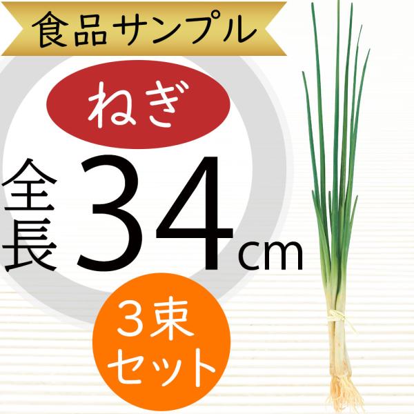 食品サンプル 万能ねぎ ネギ 小ねぎ ねぎ 葱 リアル フェイクフード
