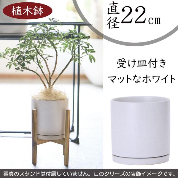 keishin_wy-cr1w07p