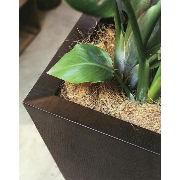 鉢カバー 木製 ウッドプランター 底板付き 木目 10号用 全高100cm 口38cm 底穴なし プランター 植木鉢 鉢 ポット 寄せ植え 観葉植物用 Buyee Buyee Japanese Proxy Service Buy From Japan Bot Online