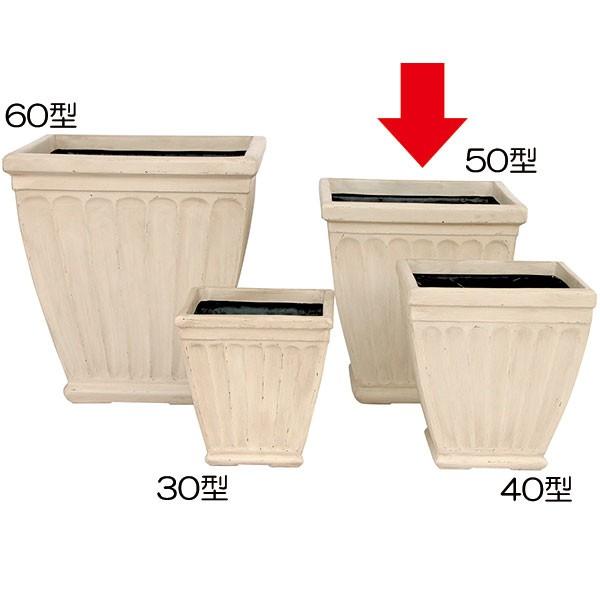 Jo[  ^ lC v^[ Jo[ CeA ϗtA Aؔ | ϗt  y  eRb^ FRP Axj[ AC{[ 50^