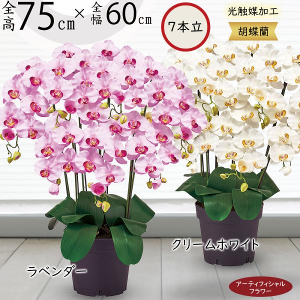 胡蝶蘭 光触媒加工 造花 全高75cm 7本立 コチョウラン 鉢物 欄 ラン ギフト 贈答 贈り花 祝い花 商品番号 K 60 Zv6626 人工観葉植物と造花の通販ケイシン 通販 Yahoo ショッピング
