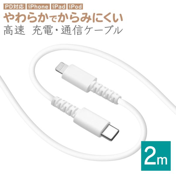 ラスタバナナ iPhone iPad iPod ライトニング タイプC ケーブル PD対応