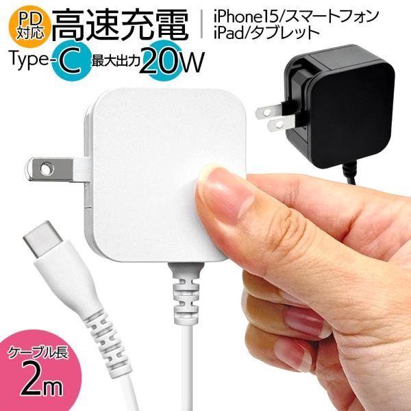 ラスタバナナ 充電器 ACアダプター AC充電器 タイプC PD ケーブル一