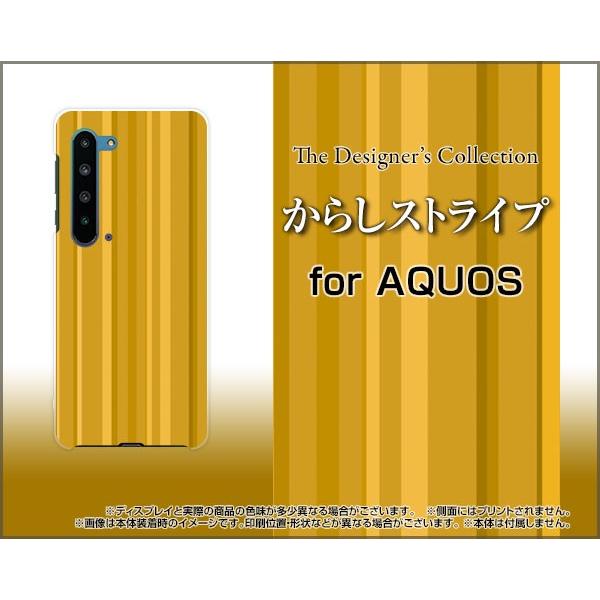 AQUOS R5G SH-51A SHG01 ANIX A[t@CuW[ X}z P[X/Jo[ tیtBt 炵XgCv 炵 Vv