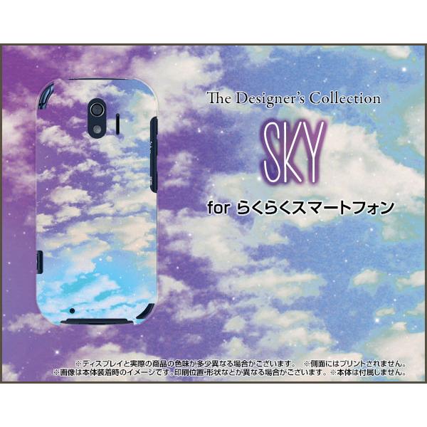 炭炭X}[gtH F-42A NNX}[gtH X}z P[X/Jo[ tیtBt SKYip[v×u[j  _   