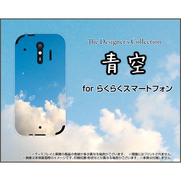 炭炭X}[gtH F-42A NNX}[gtH TPU \tgP[X/\tgJo[ tیtBt 