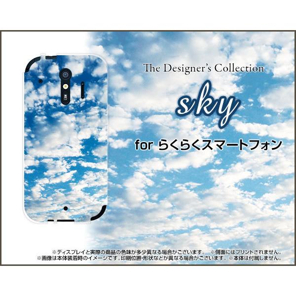 炭炭X}[gtH F-42A NNX}[gtH TPU \tgP[X/\tgJo[ sky type1