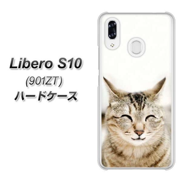 ���C���o�C�� ���x��S10 �n�[�h�P�[�X �J�o�[ VA801 �Ε��˂� �f�ރN���A UV���