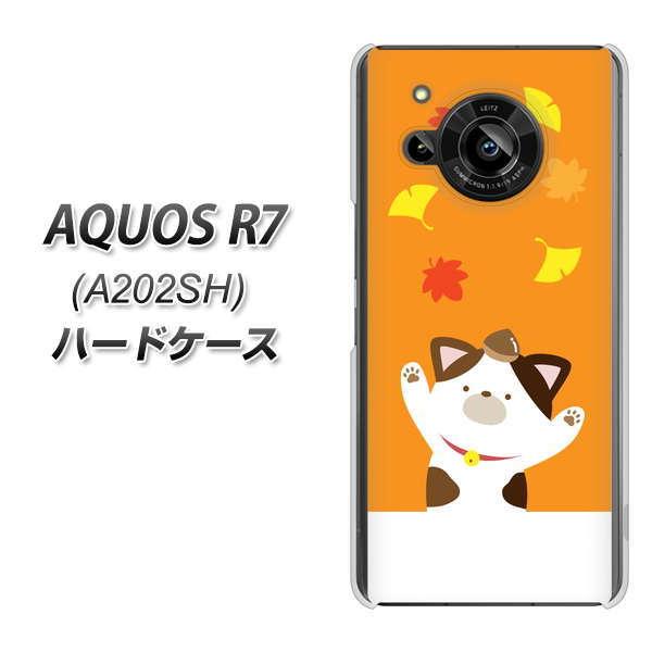 SoftBank AQUOS R7 A202SH �n�[�h�P�[�X TA018 �H�݂� �f�ރN���A UV���