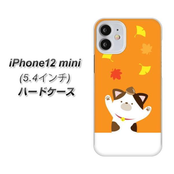 �A�C�t�H��12 mini �n�[�h�P�[�X �J�o�[ TA018 �H�݂� �f�ރN���A UV���