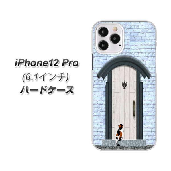 ACtH12 Pro n[hP[X Jo[ YA951 ΃hA01 fރNA UV