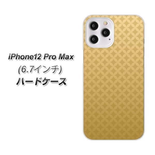 ACtH12 Pro Max n[hP[X Jo[ 638  fރNA UV