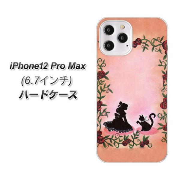 �A�C�t�H��12 Pro Max �n�[�h�P�[�X �J�o�[ 1096 ���P�l�ƃl�R(�J���[) �f�ރN���A UV���