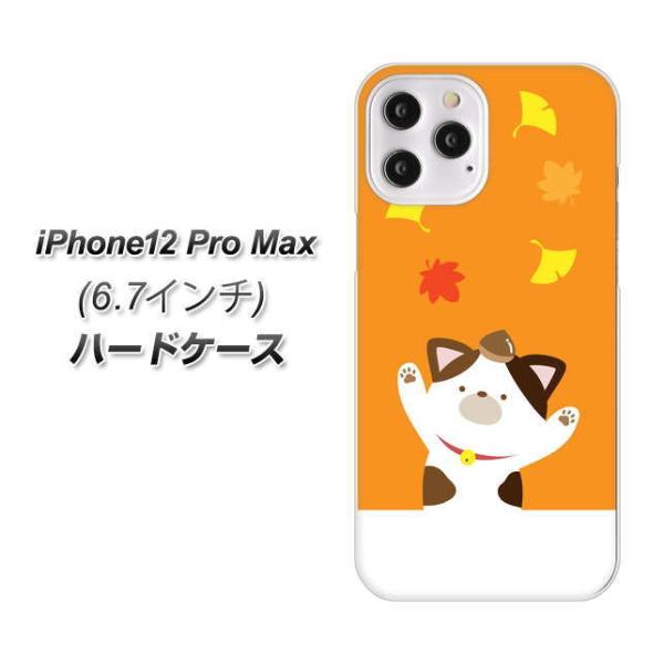 �A�C�t�H��12 Pro Max �n�[�h�P�[�X �J�o�[ TA018 �H�݂� �f�ރN���A UV���