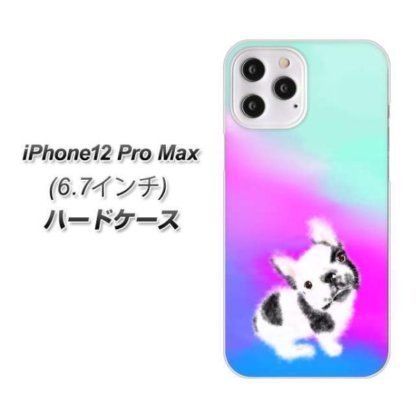 ACtH12 Pro Max n[hP[X Jo[ YJ227  Ck  t` uhbN 킢 fރNA UV