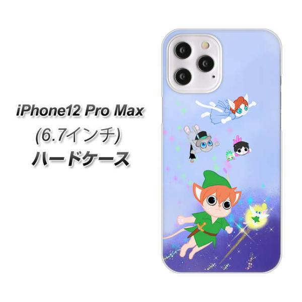 �A�C�t�H��12 Pro Max �n�[�h�P�[�X �J�o�[ YJ256 �s�[�^�[�ɂ�� �f�ރN���A UV���