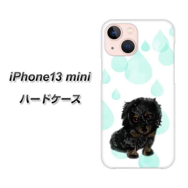 �A�C�t�H��13 mini 5.4�C���` �n�[�h�P�[�X �J�o�[ YJ226 �_�b�N�X�t���h �� �� �� ������ ���킢�� �f�ރN���A UV���