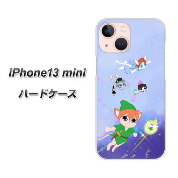 ACtH13 mini 5.4C` n[hP[X Jo[ YJ256 s[^[ɂ fރNA UV