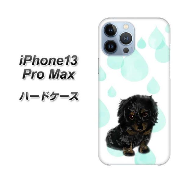 �A�C�t�H��13 Pro Max 6.7�C���` �n�[�h�P�[�X �J�o�[ YJ226 �_�b�N�X�t���h �� �� �� ������ ���킢�� �f�ރN���A UV���