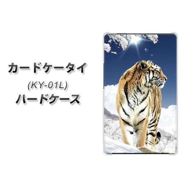 �h�R�� �J�[�h�P�[�^�C KY-01 �n�[�h�P�[�X �J�o�[ 793 ��R�̌� �f�ރN���A UV���