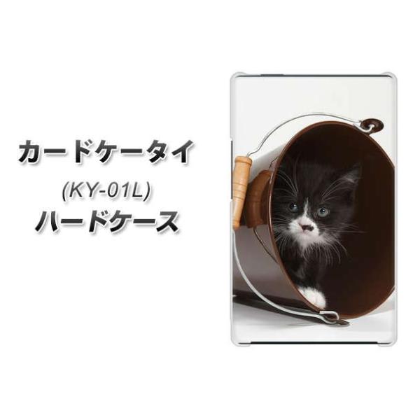 �h�R�� �J�[�h�P�[�^�C KY-01 �n�[�h�P�[�X �J�o�[ VA800 �l�R�ƃo�P�c �f�ރN���A UV���