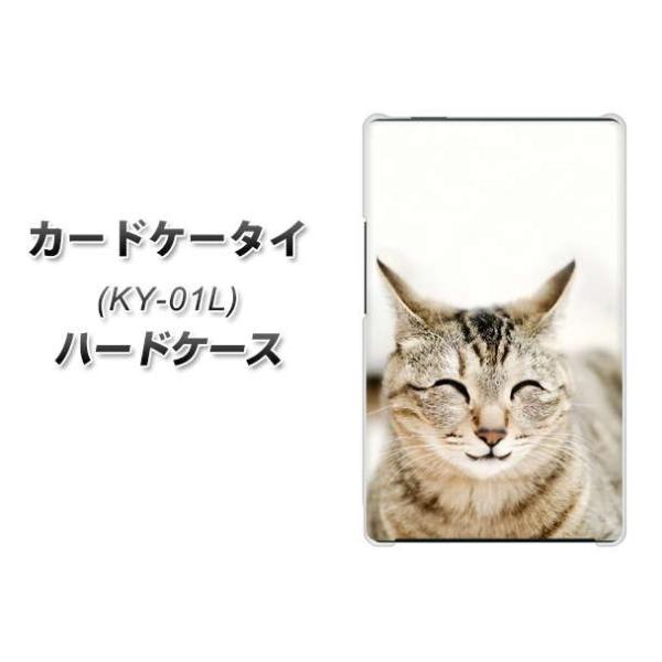 �h�R�� �J�[�h�P�[�^�C KY-01 �n�[�h�P�[�X �J�o�[ VA801 �Ε��˂� �f�ރN���A UV���