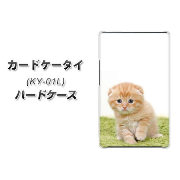 �h�R�� �J�[�h�P�[�^�C KY-01 �n�[�h�P�[�X �J�o�[ VA802 �l�R�������� �f�ރN���A UV���