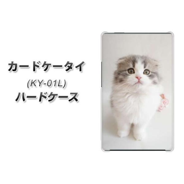 �h�R�� �J�[�h�P�[�^�C KY-01 �n�[�h�P�[�X �J�o�[ VA803 �܂��Ă��܂��l�R �f�ރN���A UV���