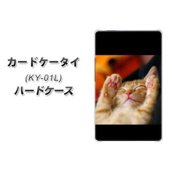 �h�R�� �J�[�h�P�[�^�C KY-01 �n�[�h�P�[�X �J�o�[ VA804 ��������l�R �f�ރN���A UV���