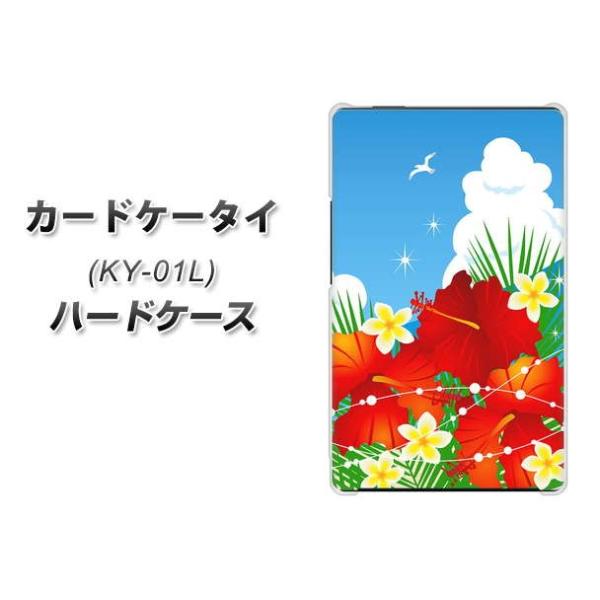 �h�R�� �J�[�h�P�[�^�C KY-01 �n�[�h�P�[�X �J�o�[ VA821 �n�C�r�X�J�X�Ɛ� �f�ރN���A UV���