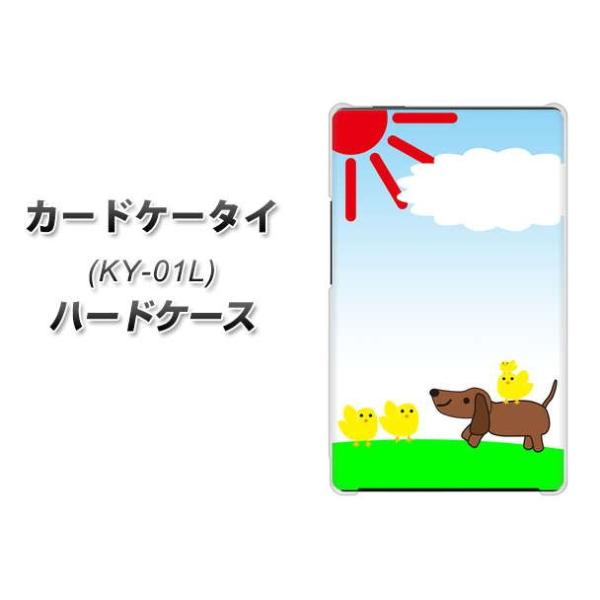 �h�R�� �J�[�h�P�[�^�C KY-01 �n�[�h�P�[�X �J�o�[ VB800 ���ƃq���R �f�ރN���A UV���