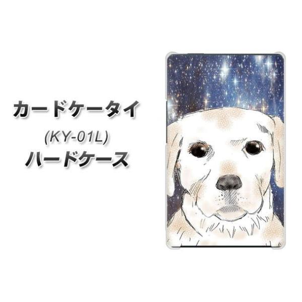 �h�R�� �J�[�h�P�[�^�C KY-01 �n�[�h�P�[�X �J�o�[ YD820 ���u01 �f�ރN���A UV���