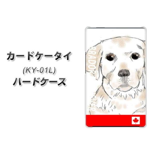 �h�R�� �J�[�h�P�[�^�C KY-01 �n�[�h�P�[�X �J�o�[ YD821 ���u02 �f�ރN���A UV���