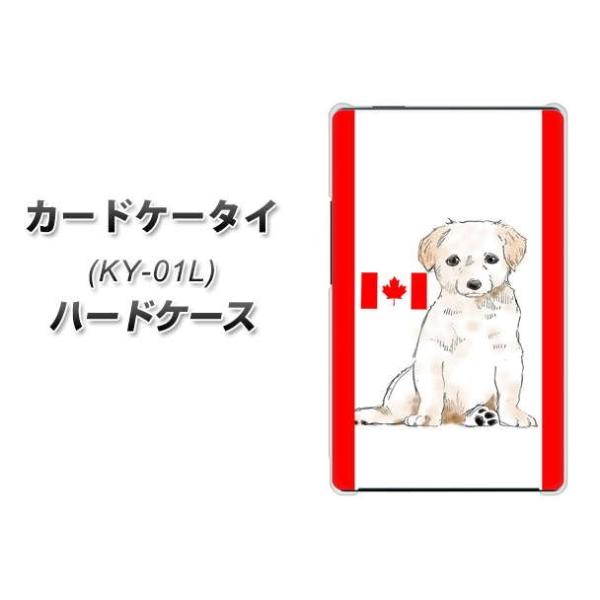 hR J[hP[^C KY-01 n[hP[X Jo[ YD824 u05 fރNA UV