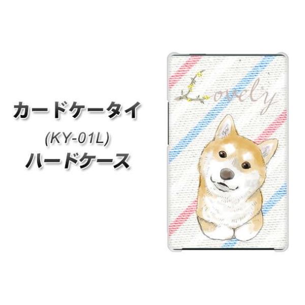 hR J[hP[^C KY-01 n[hP[X Jo[ YJ022 Č XgCv fރNA UV