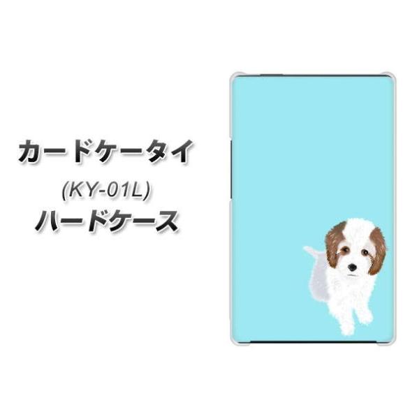 �h�R�� �J�[�h�P�[�^�C KY-01 �n�[�h�P�[�X �J�o�[ YJ058 �g�C�v�[03 �u���[  �f�ރN���A UV���