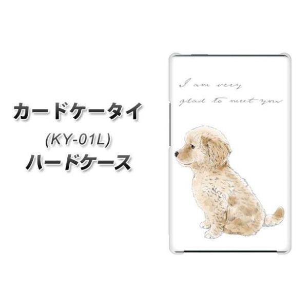 �h�R�� �J�[�h�P�[�^�C KY-01 �n�[�h�P�[�X �J�o�[ YJ192 �S�[���f�����g���o�[ ���킢�� �� �f�ރN���A UV���