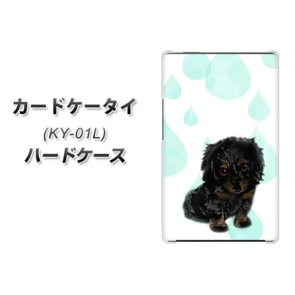 �h�R�� �J�[�h�P�[�^�C KY-01 �n�[�h�P�[�X �J�o�[ YJ226 �_�b�N�X�t���h �� �� �� ������ ���킢�� �f�ރN���A UV���