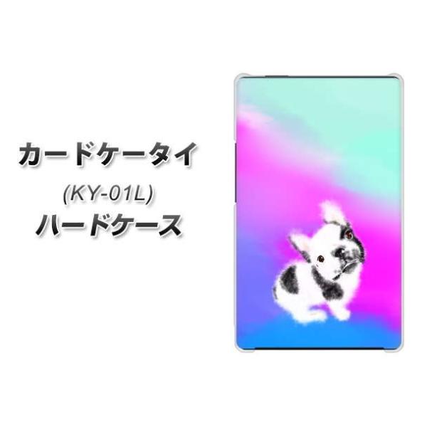 hR J[hP[^C KY-01 n[hP[X Jo[ YJ227  Ck  t` uhbN 킢 fރNA UV