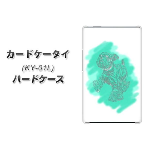 �h�R�� �J�[�h�P�[�^�C KY-01 �n�[�h�P�[�X �J�o�[ YJ246 ���� �f�ރN���A UV���