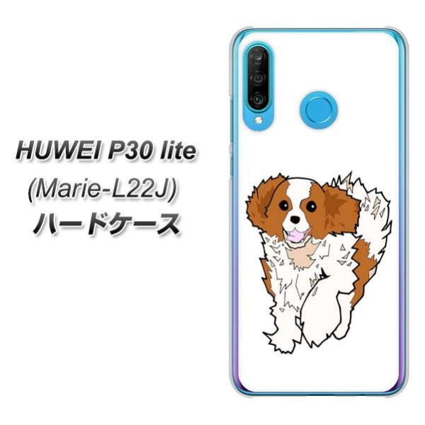 simt[ t@[EFCP30Cg Marie-L22J n[hP[X Jo[ YJ164  Dog LoALOX`[YXpjG fރNA UV