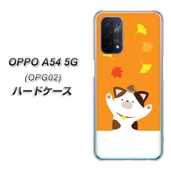 au �I�b�| A54 5G OPG02 �n�[�h�P�[�X �J�o�[ TA018 �H�݂� �f�ރN���A UV���
