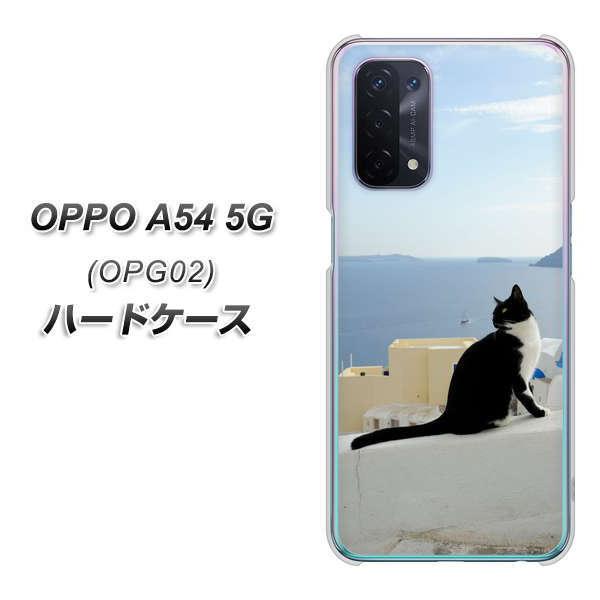au Ib| A54 5G OPG02 n[hP[X Jo[ VA805 lRƒnC fރNA UV