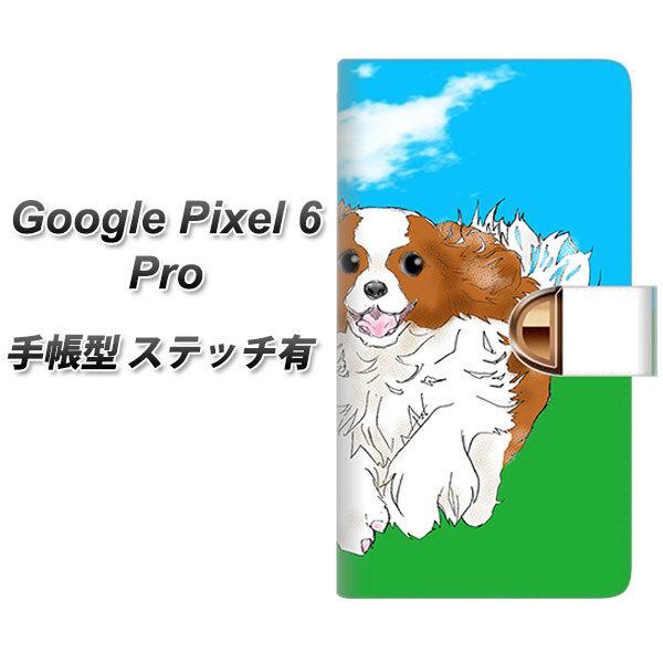 �O�[�O���s�N�Z��6 Pro �蒠�^ �X�}�z�P�[�X �y�X�e�b�`�^�C�v�z YD887 �L���o���A�L���O�`���[���Y�X�p�j�G��03 UV��� ���J��