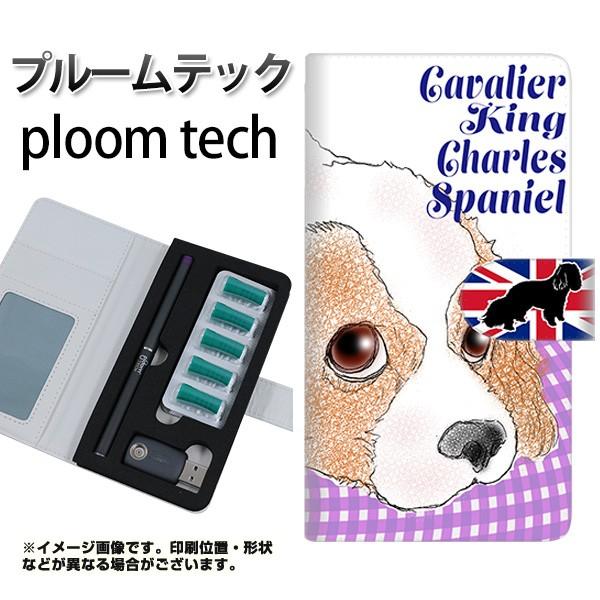 [֑ v[ebN P[X 蒠^ ploomtech P[X yYD886 LoALO`[YXpjG02z